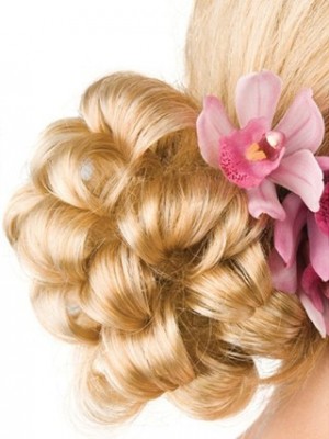 Angenehme Schnittige Synthetische Chignon